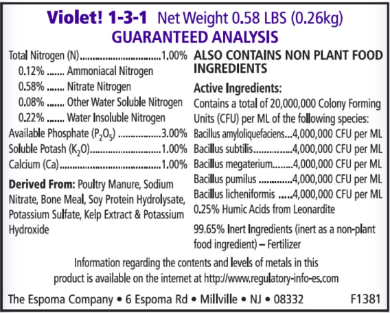 Violet! 8 oz – Espoma Organic African Violet Fertilizer – Includes My Garden Pool Claw Gloves & Soil pH Test Strips