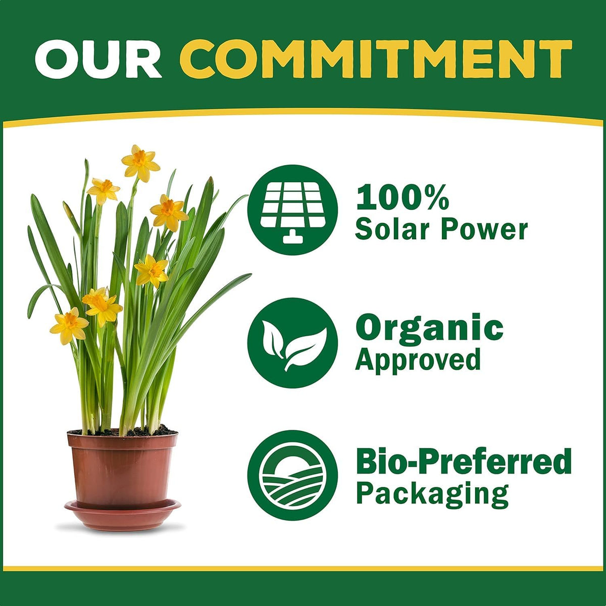 Espoma Turf-Tone Lawn Starter Natural & Organic Starter Fertilizer. with Long Lasting, Nitrogen, Phosphorus and Our Bio-Tone Formula. 30 lb with My Garden Pool Soil pH Test Strips and Claw Gloves