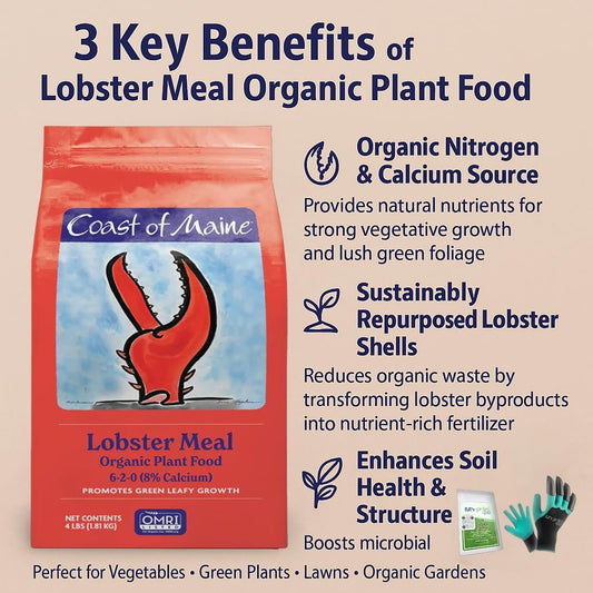 Coast of Maine LM6000 Lobster Meal Plant Food 4 LB – Natural Organic Fertilizer with Calcium for Soil Health with My Garden Pool Soil Test Strips & Gardening Claw Gloves