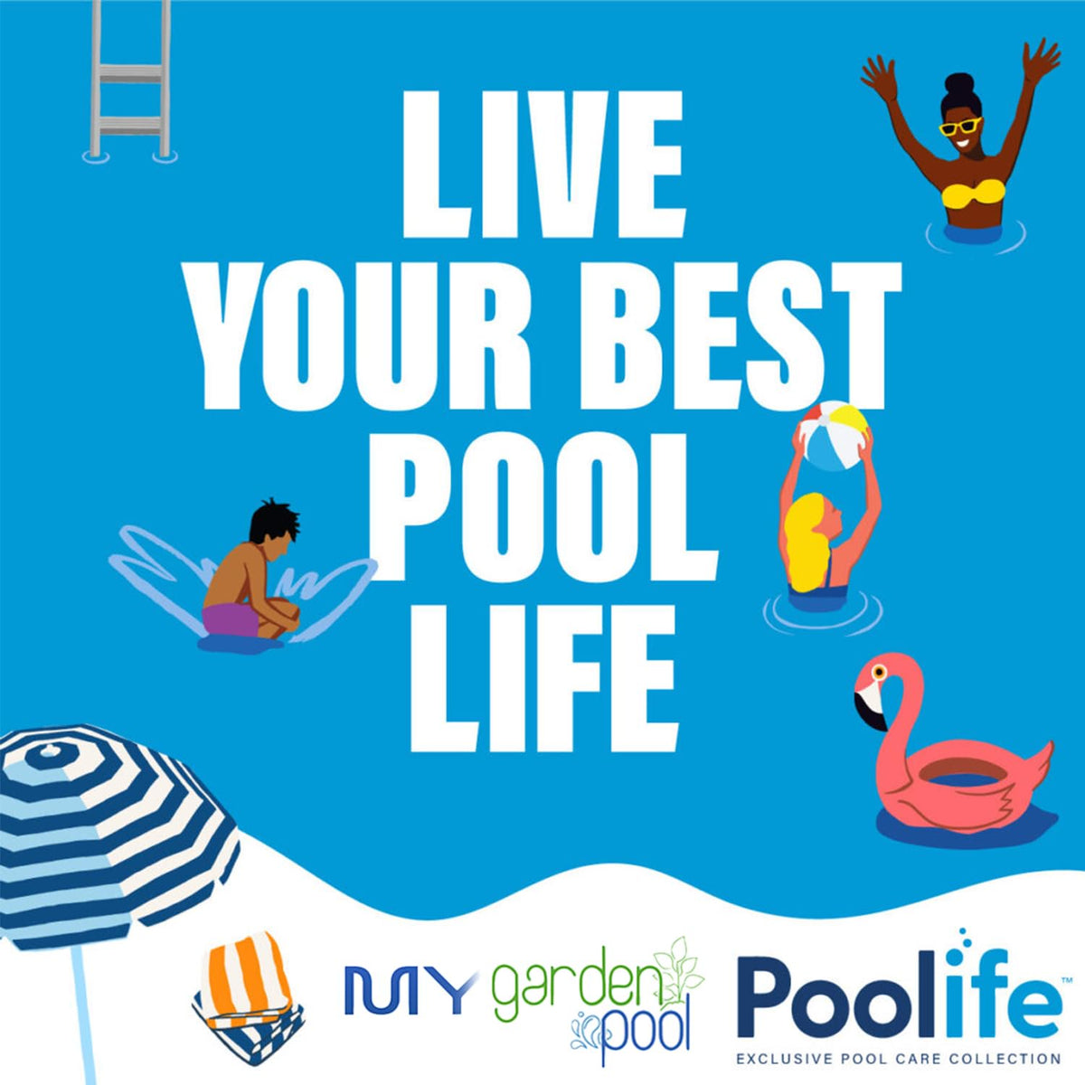 Poolife NST Patrol – Fast-Acting Algaecide with 50% Quat for Green & Black Algae Control – Low-Dosing Weekly Formula – Includes 7-in-1 Test Strips, Measuring Cup & Pool-IQ AI Assistant 12 Pack