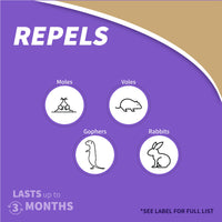 Bonide MoleMax repels moles, voles, gophers and rabbits