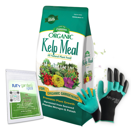 Espoma Kelp Meal 4 lb – Organic Seaweed Fertilizer for Plants & Lawns – Includes My Garden Pool Gloves & Soil pH Test Strips