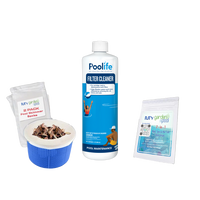Poolife Filter Cleaner 32 fl oz – Deep Cleans Cartridge, Sand & DE Filters – Restores Flow & Efficiency – Includes Test Strips & 2 Scum Socks