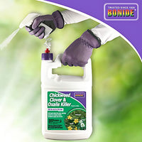 Bonide Chickweed Clover Oxalis Killer in use