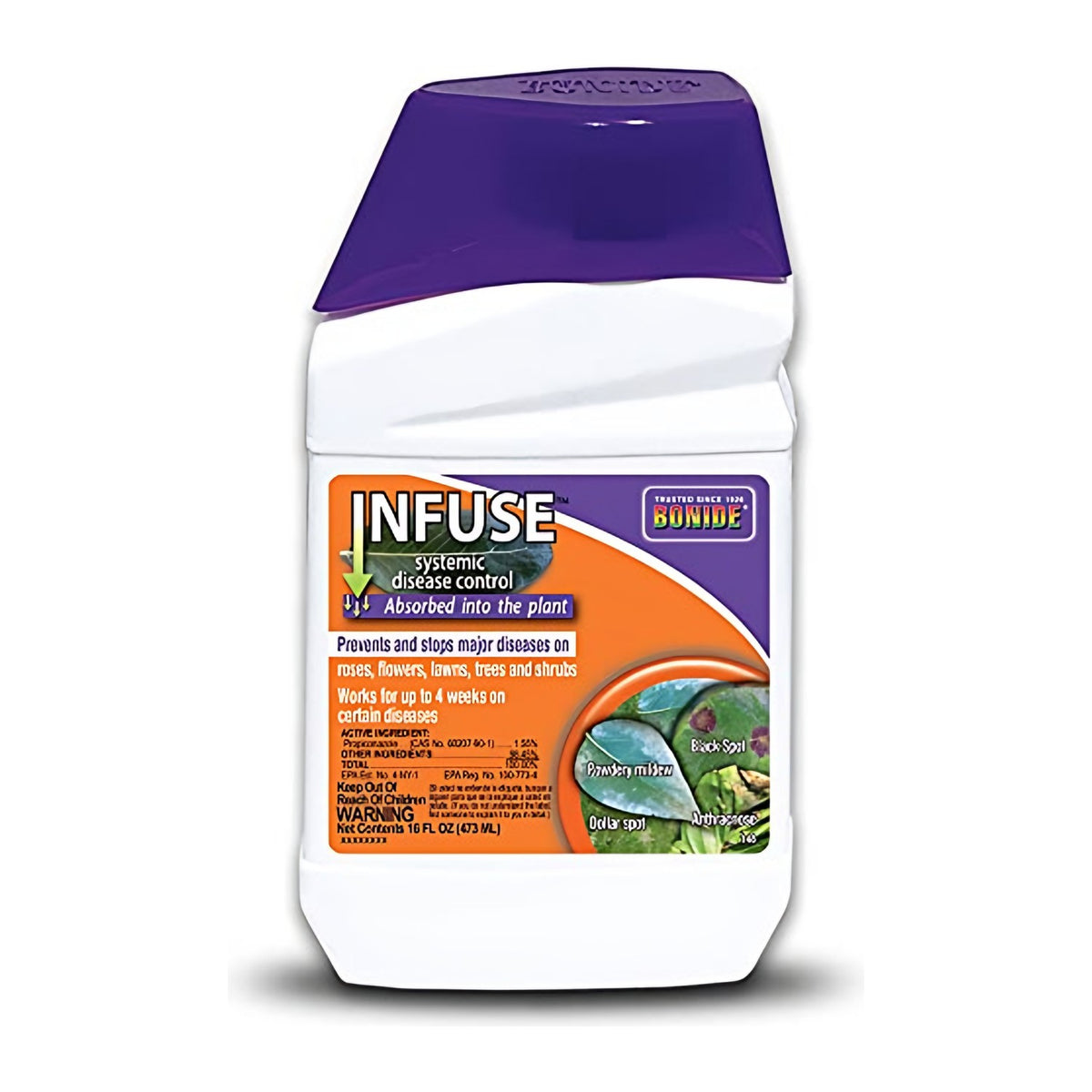 Bonide Bonide Infuse Systemic Disease Control 16 oz concentrate