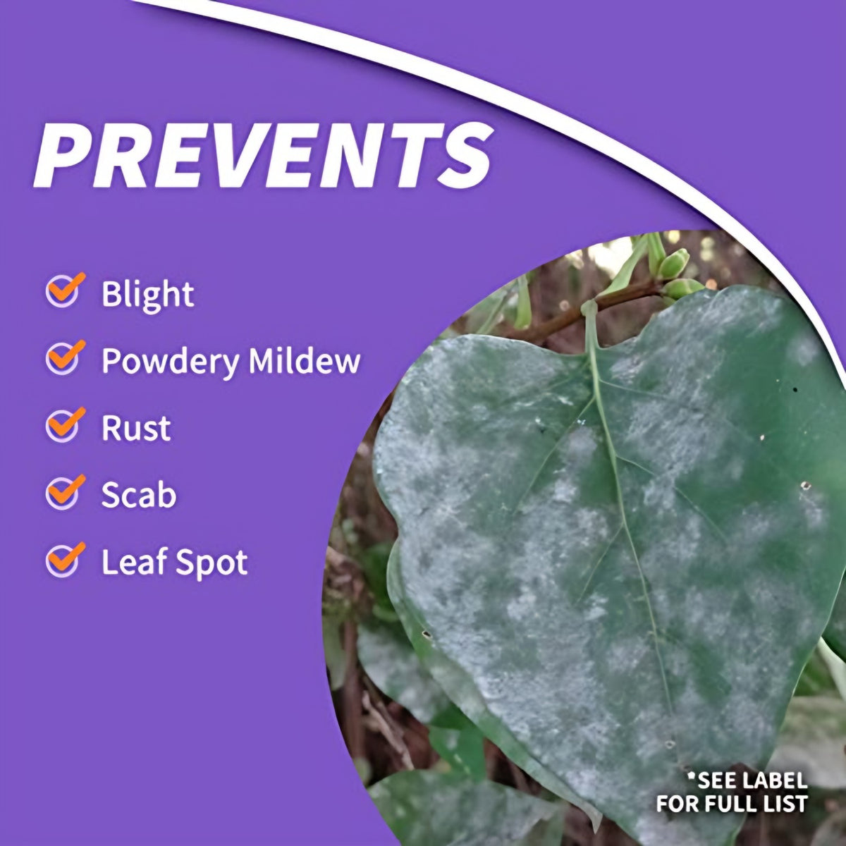 Bonide Bonide Infuse Systemic Disease Control label and directions