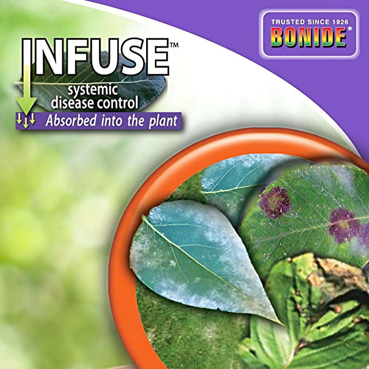 Bonide Bonide Infuse Systemic Disease Control label and directions