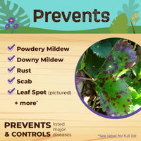 Bonide Bonide Captain Jack's Neem Oil label and directions