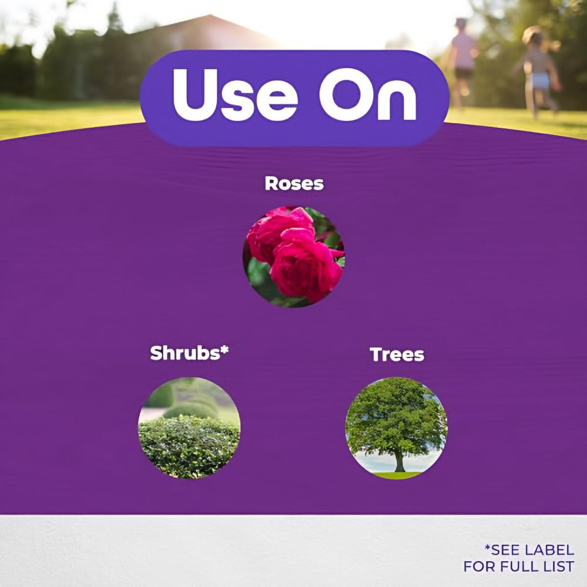 Bonide Bonide Garden Rich Pruning Sealer in use