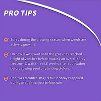 Bonide Bonide Liquid Weed and Feed 20-0-0 label and directions