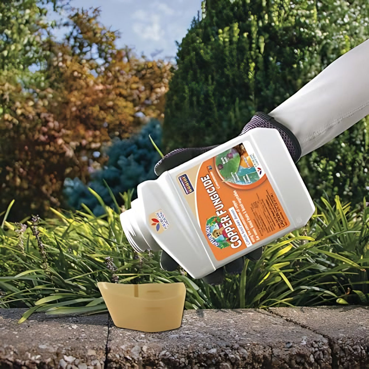 Bonide Bonide Captain Jack's Liquid Copper Fungicide in use