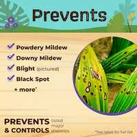 Bonide Bonide Captain Jack's Liquid Copper Fungicide product details