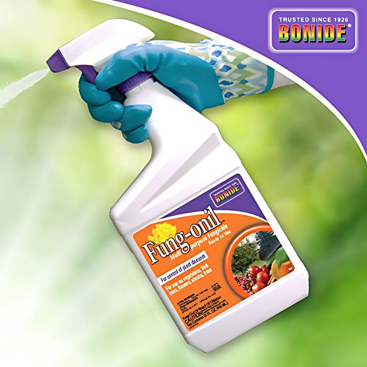 Bonide Bonide Fung-onil Multi-Purpose Fungicide in use