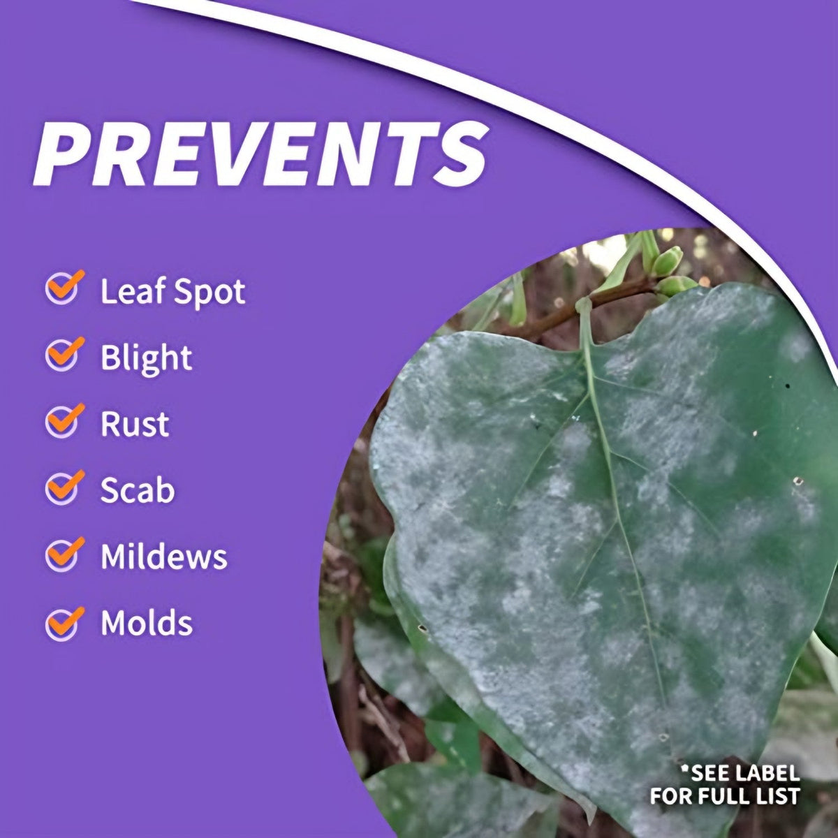 Bonide Bonide Fung-onil Multi-Purpose Fungicide product details