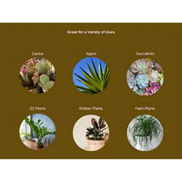 Fertilome Cactus Potting Mix label and directions