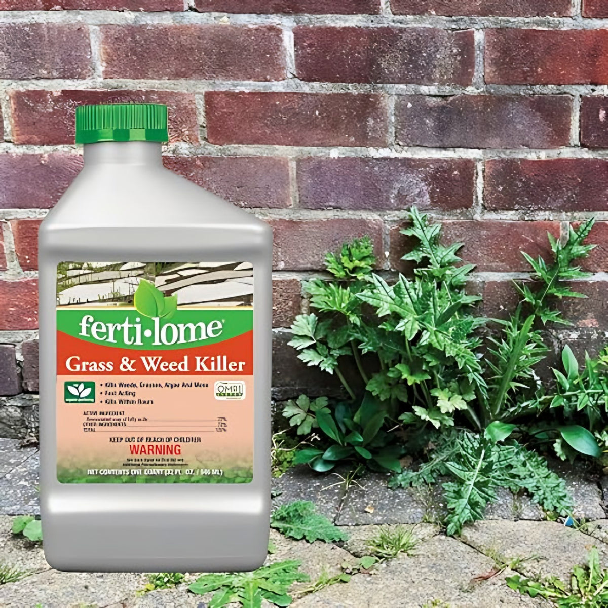 Fertilome Non-Selective Grass and Weed Killer label and directions