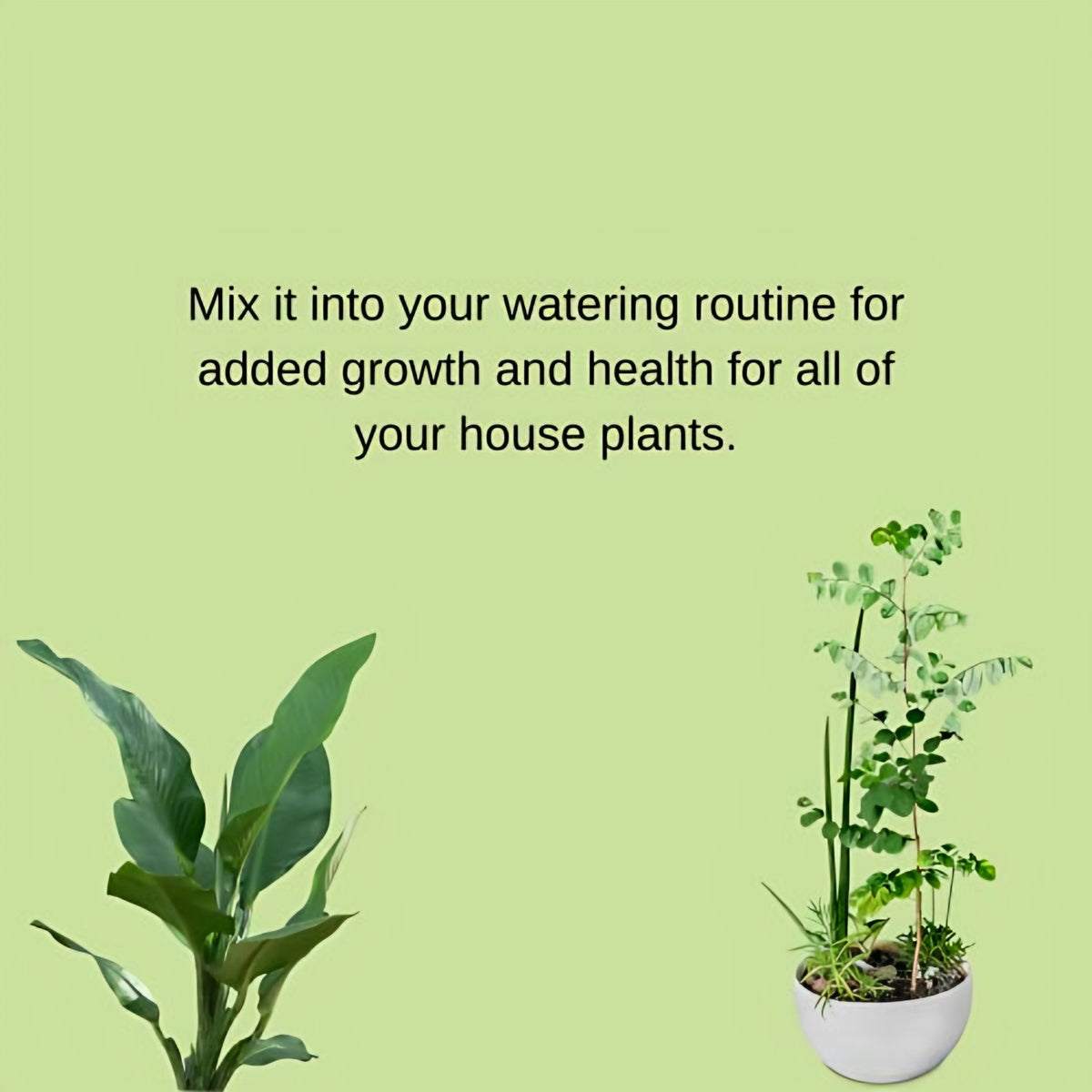Fertilome All-Purpose Houseplant Food product features