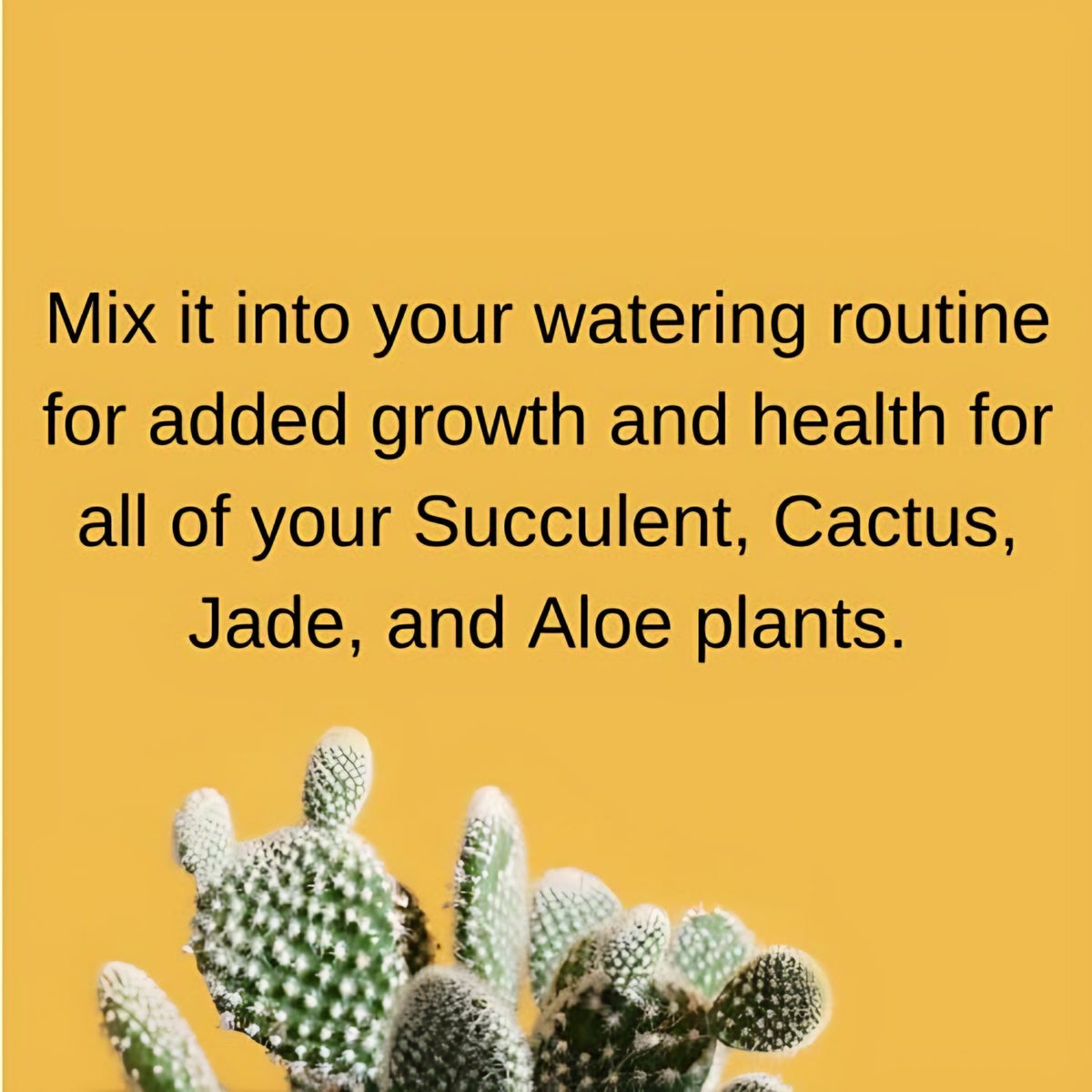Fertilome Cactus and Succulent Plant Food label and directions