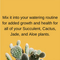 Fertilome Cactus and Succulent Plant Food label and directions