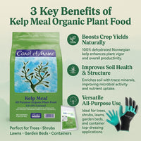 Coast of Maine KM6000 Kelp Meal Plant Food 4 LB – Organic Seaweed Fertilizer for Vibrant Growth with My Garden Pool Soil Test Strips & Claw Gardening Gloves