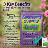 Coast of Maine RH6001 Rhody, Azalea & Berries Plant Food 4 LB – Organic Acidic Soil Fertilizer with My Garden Pool Soil Test Strips & Claw Gardening Gloves