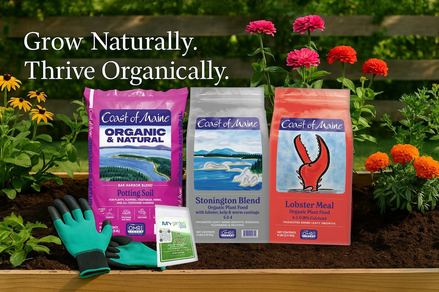 Coast of Maine LM6000 Lobster Meal Plant Food 4 LB – Natural Organic Fertilizer with Calcium for Soil Health with My Garden Pool Soil Test Strips & Gardening Claw Gloves