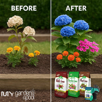 MYGP Organic Fertilizer Bundle – 5×4 lb: Garden, Holly, Plant, Lime & Acidifier – with My Garden Pool Claw Gloves & Soil pH Test Strips – Complete Soil Nutrition and pH Balancing Kit for Gardening