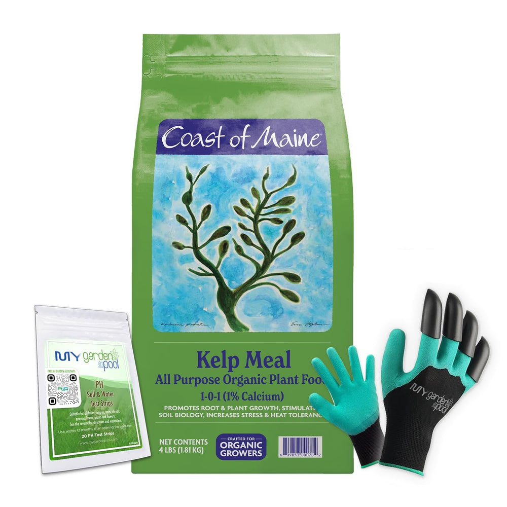 Coast of Maine KM6000 Kelp Meal Plant Food 4 LB – Organic Seaweed Fertilizer for Vibrant Growth with My Garden Pool Soil Test Strips & Claw Gardening Gloves