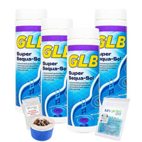GLB Super Sequa-Sol 2 LB (71024A) Granular Stain Control Formula with My Garden Pool Skimmer Socks & 7-in-1 Test Kit, 4-Pack