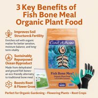 Coast of Maine FM6000 Fish Bone Meal Plant Food 3 LB – Organic Phosphorus-Rich Fertilizer for Root & Bloom Growth with My Garden Pool Soil Test Strips & Claw Gardening Gloves