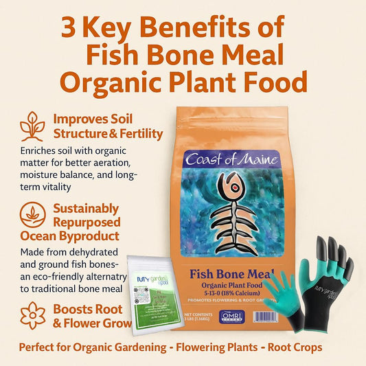 Coast of Maine FM6000 Fish Bone Meal Plant Food 3 LB – Organic Phosphorus-Rich Fertilizer for Root & Bloom Growth with My Garden Pool Soil Test Strips & Claw Gardening Gloves