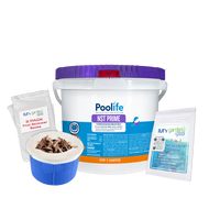 Poolife NST Prime Tablets 20 lb – Stabilizer-Free Chlorine Sanitizer – Skimmer-Use Only – Includes 2 Scum Socks and 7-in-1 Test Strips